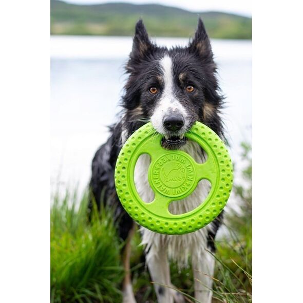 Triton Kiwi Walker Let's Play Frisbee Mini niebieskie