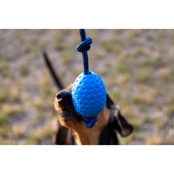 Triton Kiwi Walker Let's Play Egg piankowe jajo niebieskie