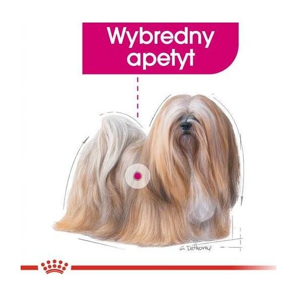 Royal Canin Exigent 85g