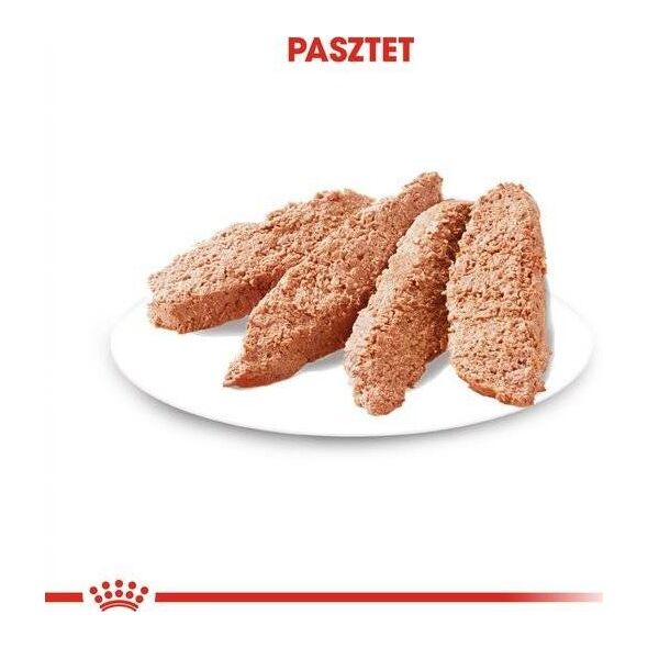 Royal Canin Exigent 85g