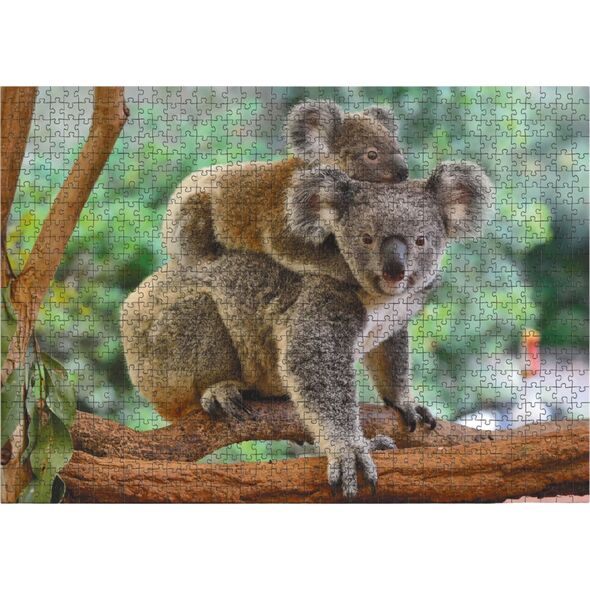 Dodo *****Puzzle 1000el Mały Koala i mama DOB1217 01217