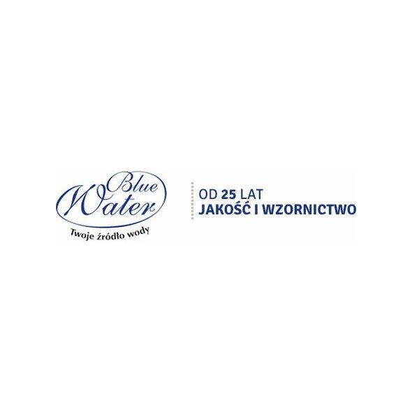 Bateria umywalkowa Blue Water Concealed washbasin faucet Blue Water Toronto TOR-BPU.110