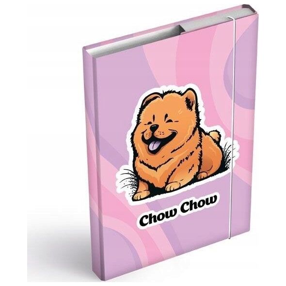 MFP paper teczka skrzydłowa z gumką box A5 Chow Chow 8021059