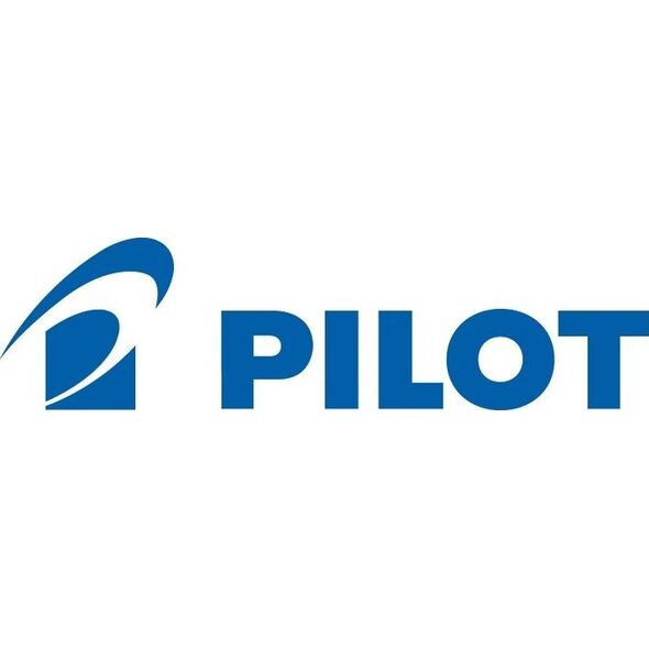 Pilot PILOT FRIXION Zone Tintenroller 0.4 mm Pink