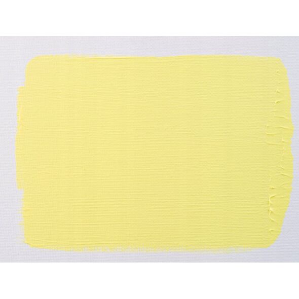 Artequipment Amsterdam Standard Series Acrylic Tube Permanent Lemon Yellow Light 217