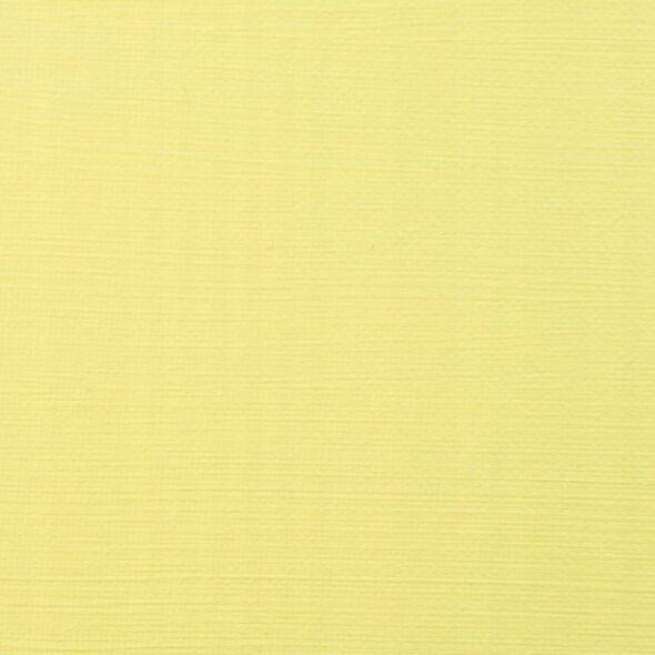 Artequipment Amsterdam Standard Series Acrylic Tube Permanent Lemon Yellow Light 217