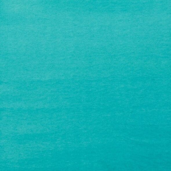 Artequipment Amsterdam Acrylic Ink Bottle Turquoise Green 661