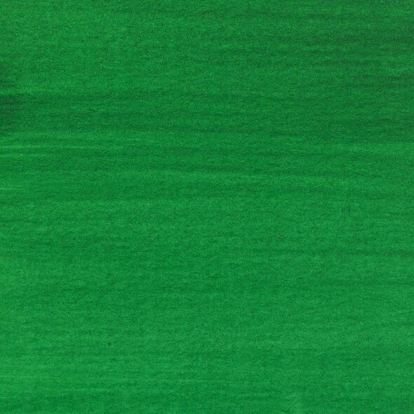 Artequipment Amsterdam Acrylic Ink Bottle Permanent Green Deep 619