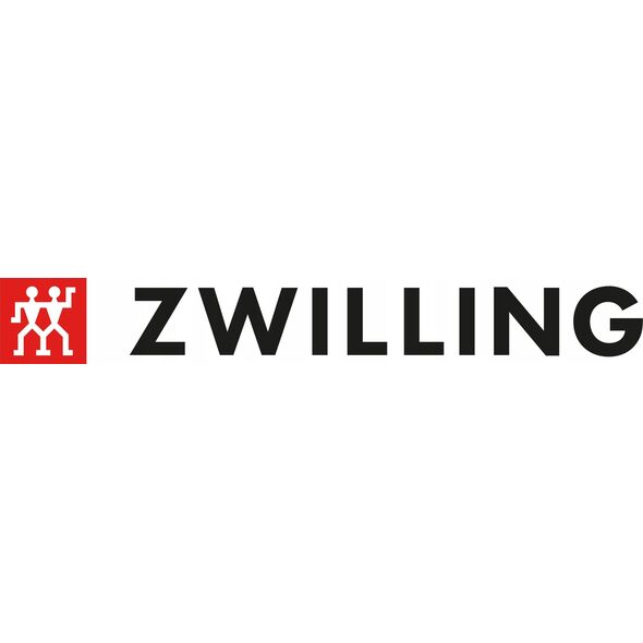 Zwilling Zestaw 4 noży + ostrzałka ZWILLING Professional S 35223-000-0