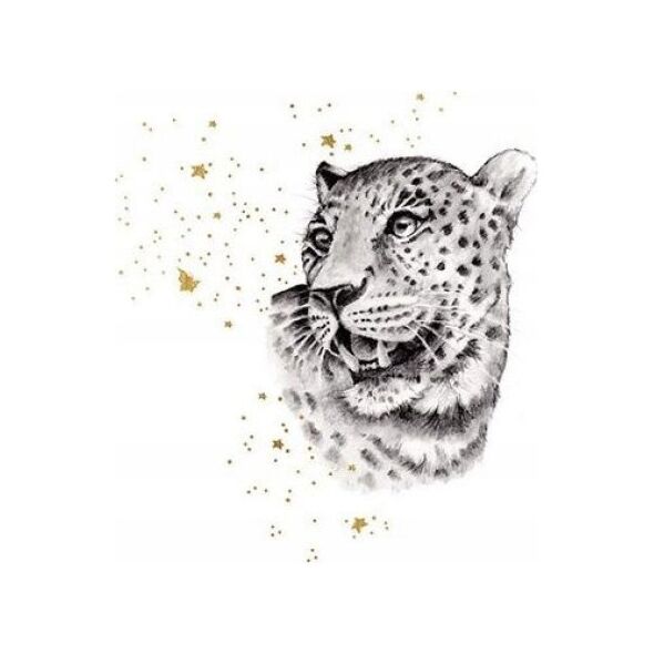 Teka Karnet Złocony kwadrat CL3819_BL Gepard