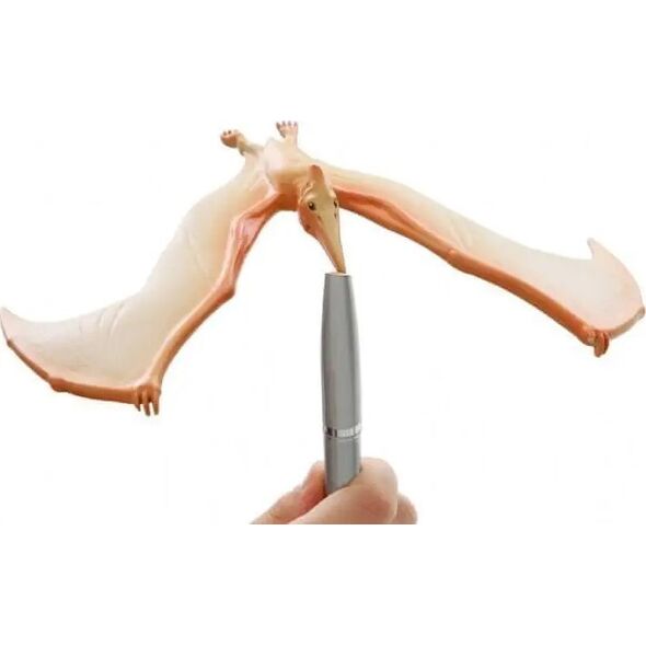 Teka Balansuj±cy pteranodon