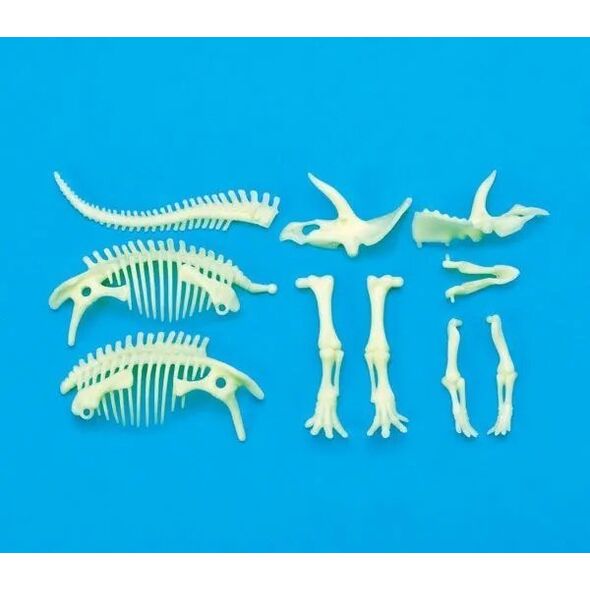 Teka ¦wiec±cy w ciemno¶ci szkielet Triceratops