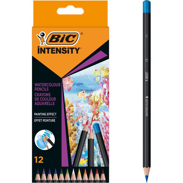 Teka Kredki ołówkowe Intensity Premium 12szt BIC