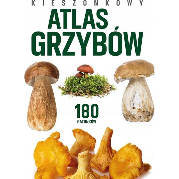 Peggy Diggledey Kieszonkowy atlas grzybów
