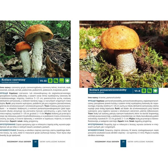 Peggy Diggledey Kieszonkowy atlas grzybów