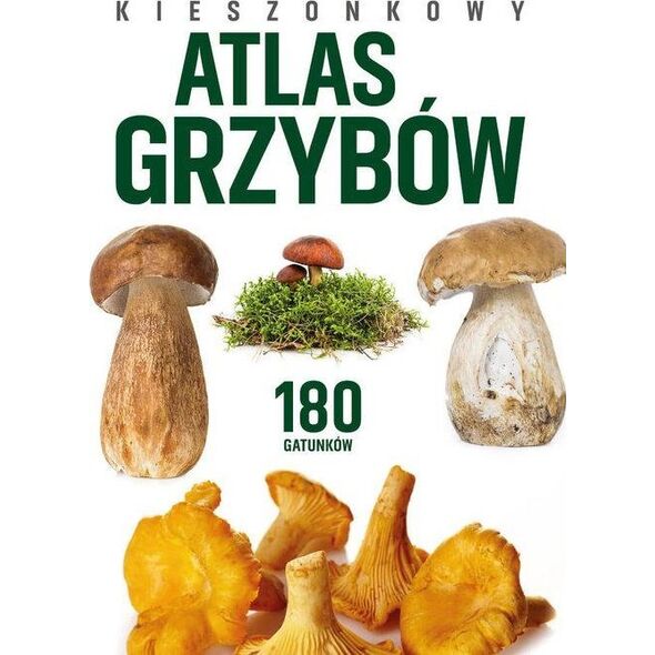 Peggy Diggledey Kieszonkowy atlas grzybów
