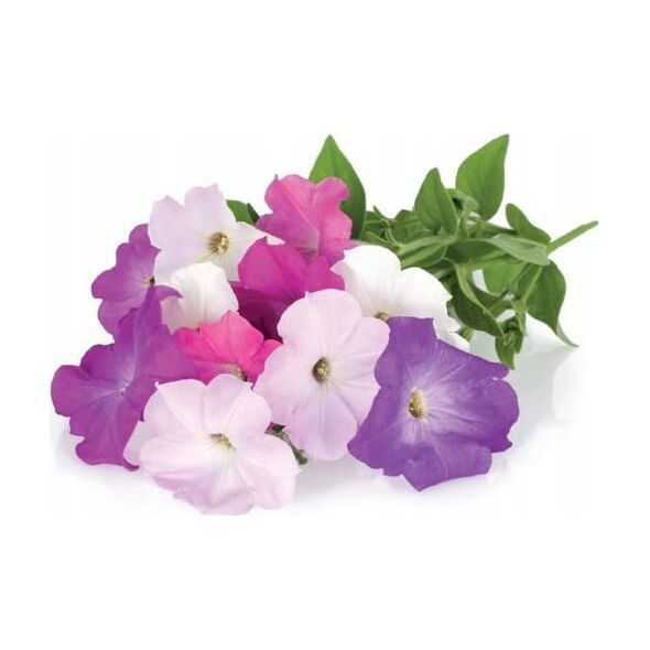 Click And Grow Click & Grow Smart Garden refill Petunia 3pcs