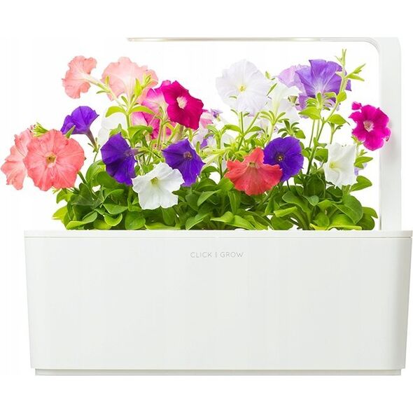Click And Grow Click & Grow Smart Garden refill Petunia 3pcs