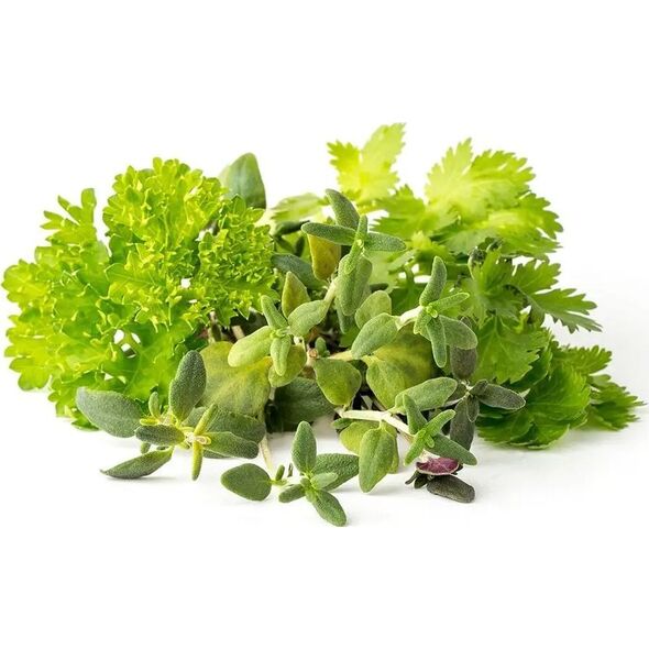 Click And Grow Click & Grow Plant Pod Steak Mix 9pcs
