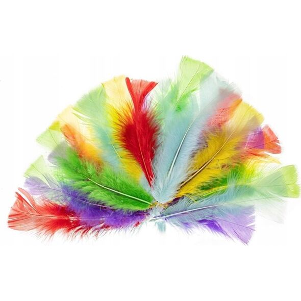 FANDY Piórka indycze 10-15cm pastelowe