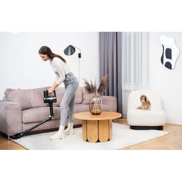 Lauben Lauben Stick Vacuum 2in1 Pet Plus 400BC