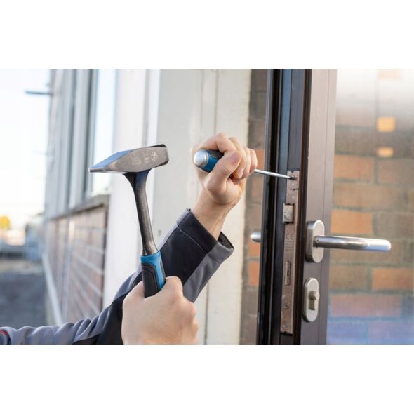 Bosch Bosch Screwdriver TX 25 x 100