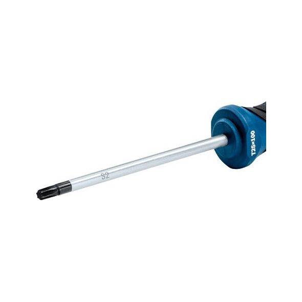 Bosch Bosch Screwdriver TX 25 x 100