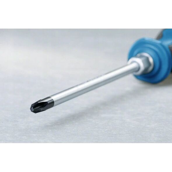 Bosch Bosch Screwdriver PH 1 x 100