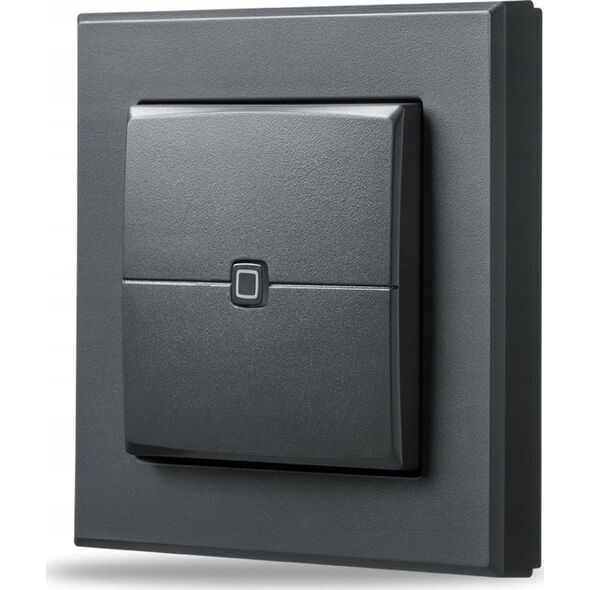 HomeMatic IP Homematic IP Wandtaster - 2-fach, anthrazit