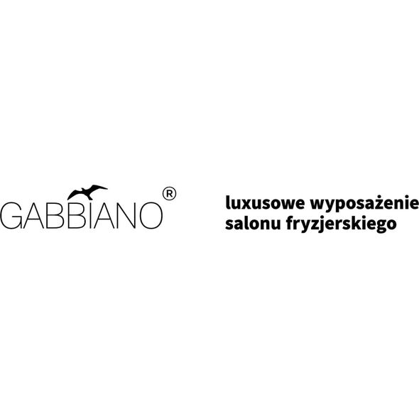 Activeshop Gabbiano suszarka stojąca Centurion LVI-203S trzy prędkości ionic czarna