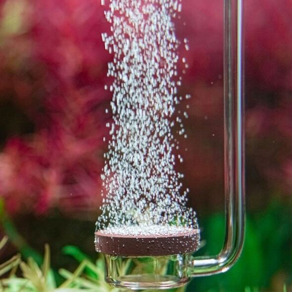 Aquarius Aquario CO2 Neo diffuser Special L nuo 200L