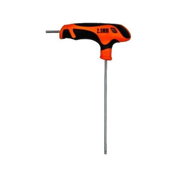 Richmann T-key Hex 2.5x100 MM