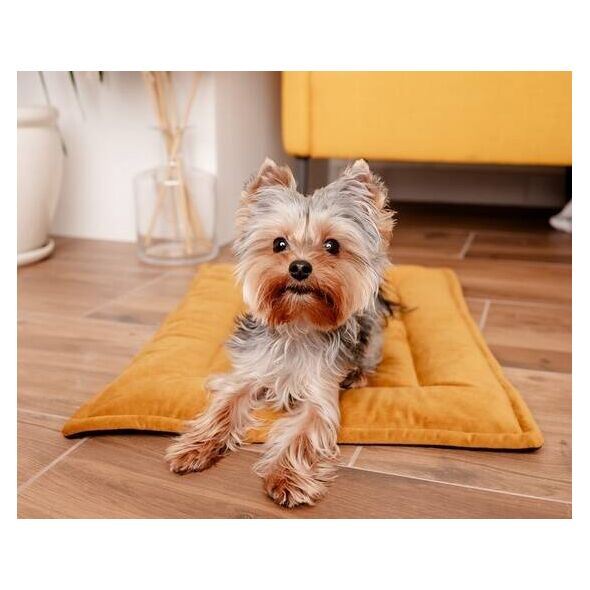 Mimikoko MIMIKO Pets Mata Velvet 70x50cm musztarda