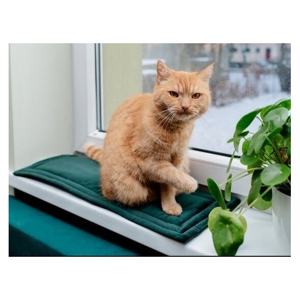 Mimikoko MIMIKO Pets Mata Velvet 25x70cm butelkowa zieleń