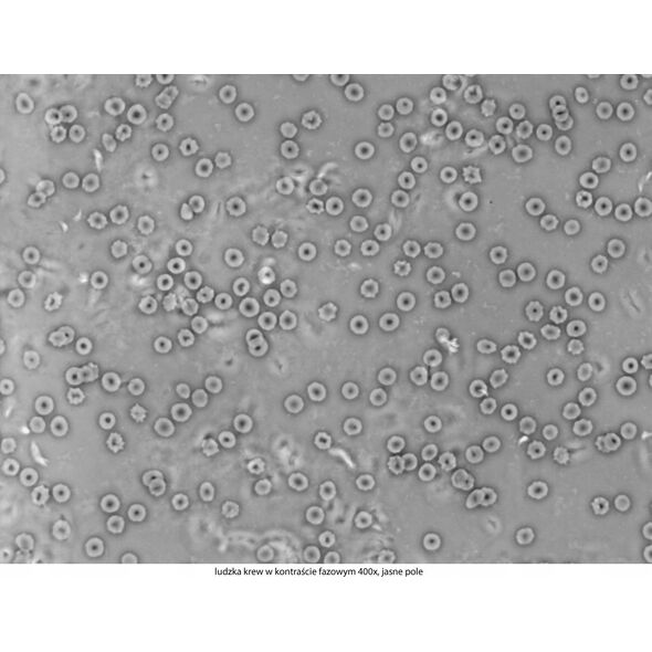 Mikroskop Mikroskop Delta Optical Genetic Pro z kamerą 3MP