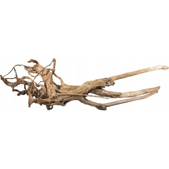 Terra Natura Pień bagienny, 40-60 cm