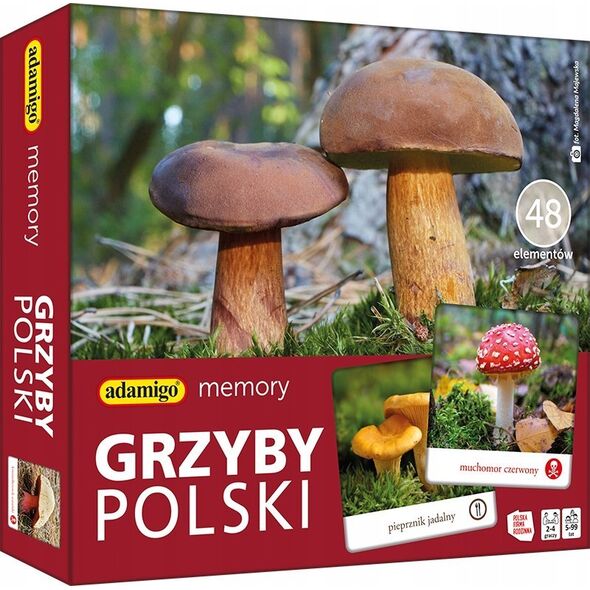 Adamigo Gra Memory - Grzyby Polski
