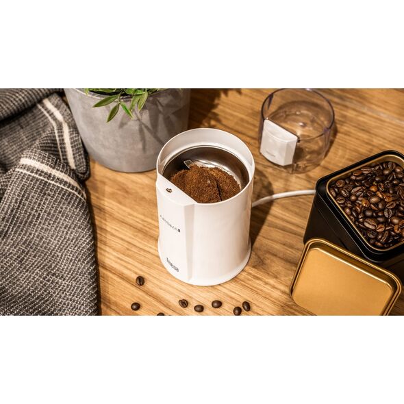 Młynek do kawy Teesa Młynek do kawy Aroma G10