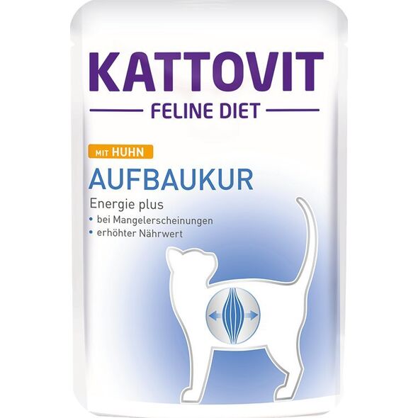 Kattovit KATTOVIT sasz.85g RECOVERY  /24
