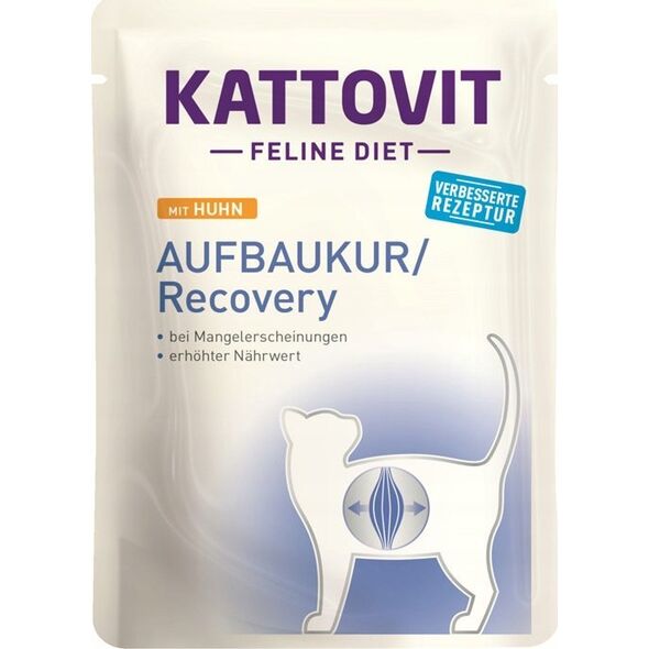 Kattovit KATTOVIT sasz.85g RECOVERY  /24