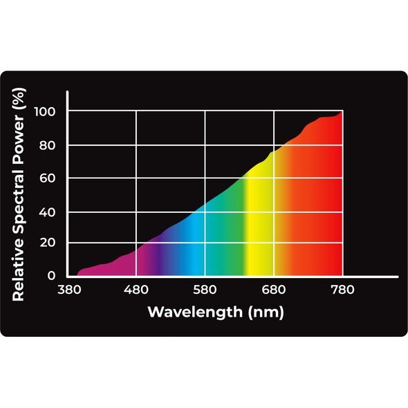 Aqua Nova AQUA NOVA ŻARÓWKA GRZEWCZA UVA REPTILE    DAYLIGHT 50W