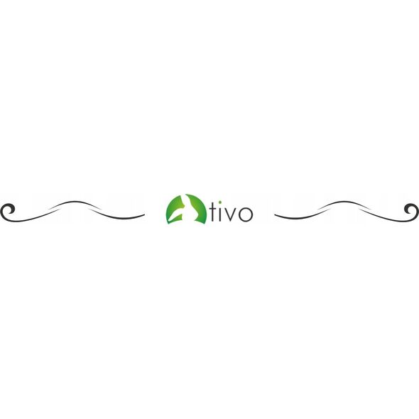 Tivo TIVO WARZYWA  PASTERNAK CHIPS 175g