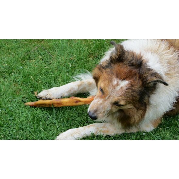 Balto Balto Żwacze wołowe 250g