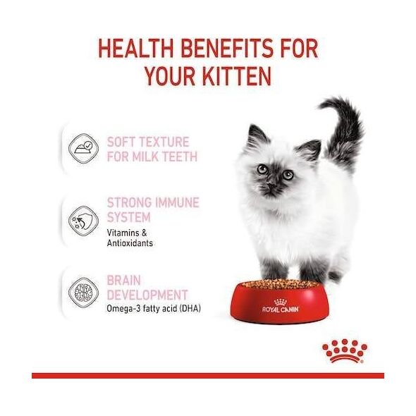 Royal Canin Kitten galaretka 85g