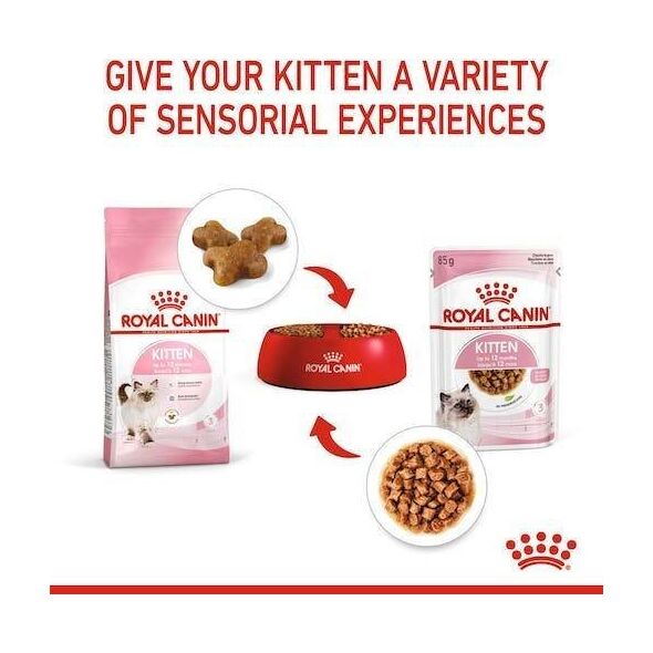 Royal Canin Kitten galaretka 85g