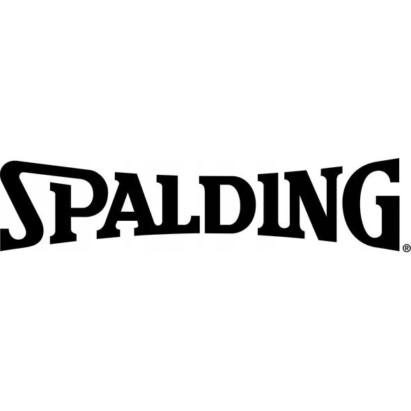 Spalding Piłka do Koszykówki SPALDING Silver Series 6