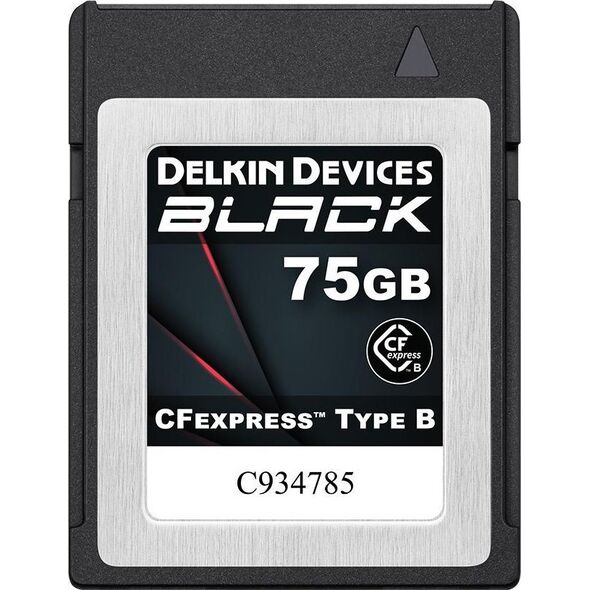 Karta Delkin Delkin CFexpress BLACK R1725/W1240 75GB
