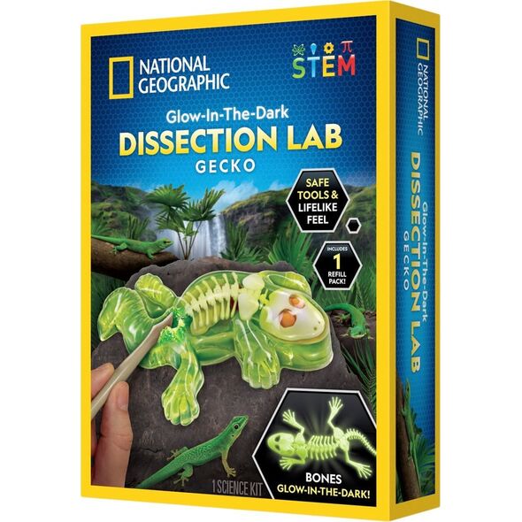 National Geographic National Geographic Gecko Dissection Lab