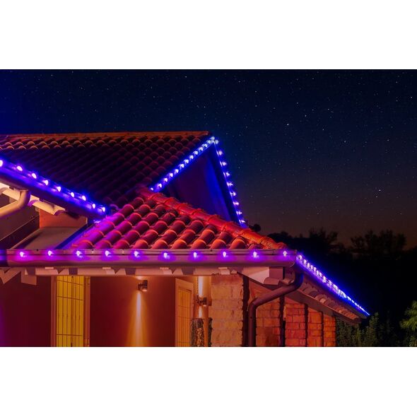 Lampki choinkowe Twinkly Twinkly C9 Bulbs Smart LED 40 RGB, 12.2m, Žalias wire|Twinkly