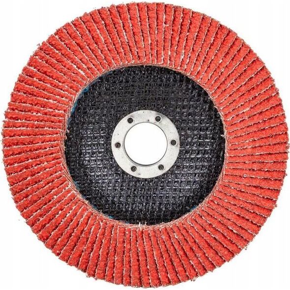 Forsage Tarcza szlifierska listkowa lamelkowa 150x22.2mm P36